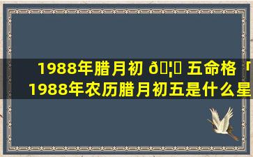 1988年腊月初 🦟 五命格「1988年农历腊月初五是什么星座 🌸 」